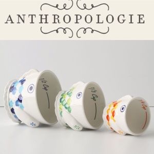 Anthropologie Fish Food Measuring Cups - Set of 3